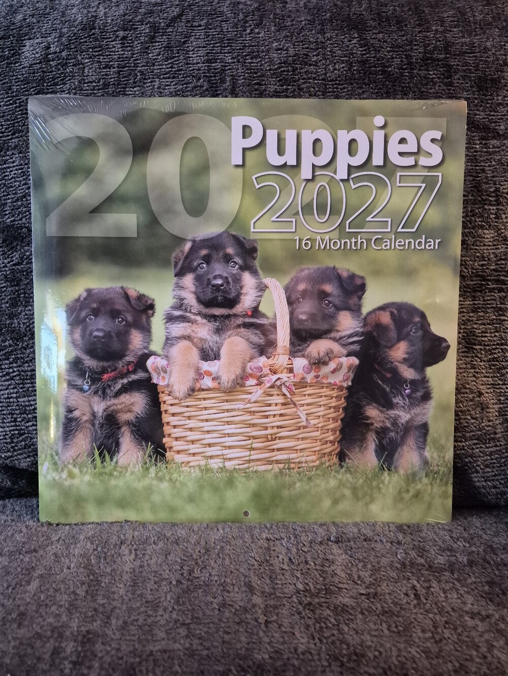 2027 Puppies Calendar